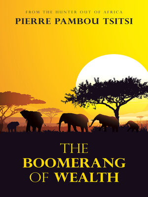 cover image of The Boomerang of Wealth
